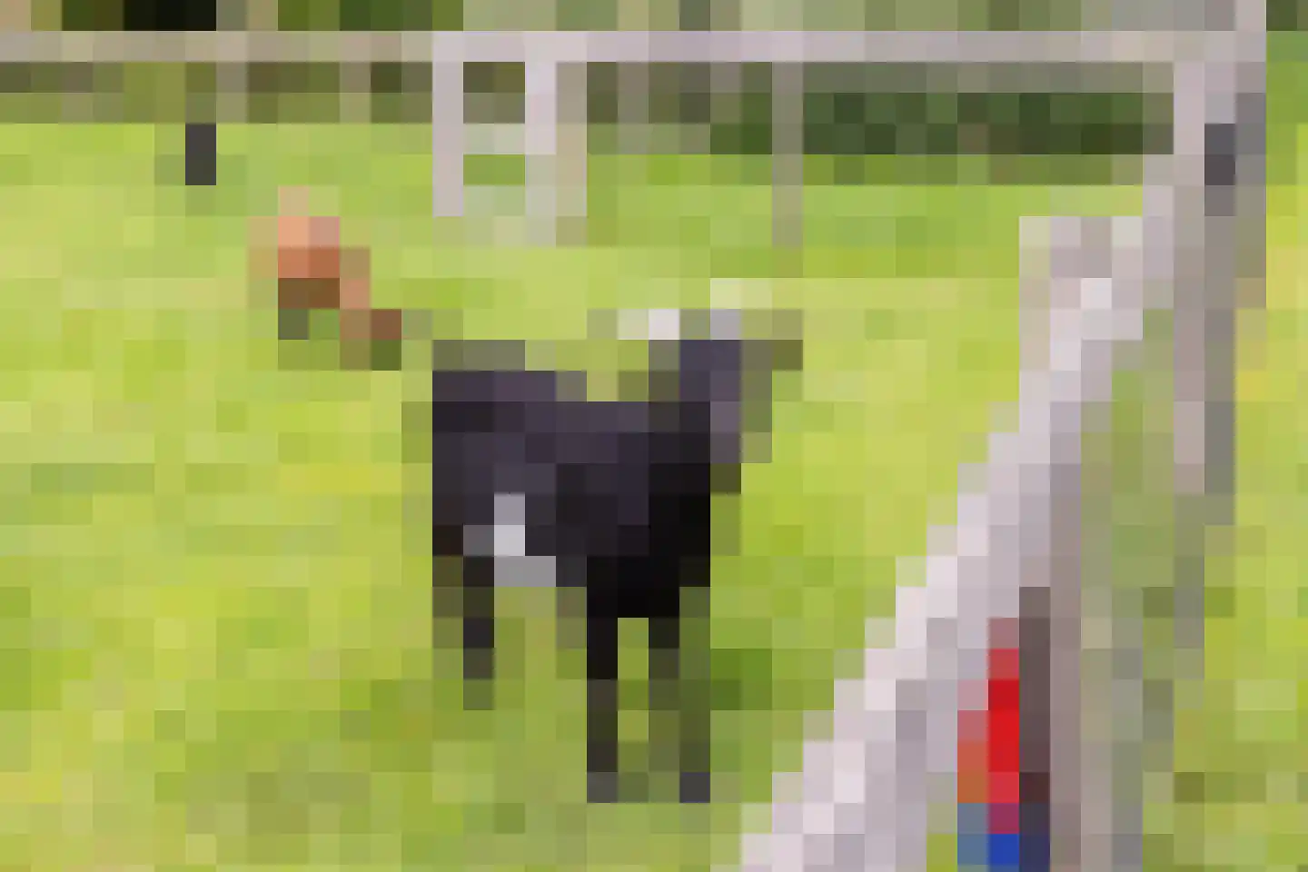 Buitenom 15 Stolwijk thumbnail 42