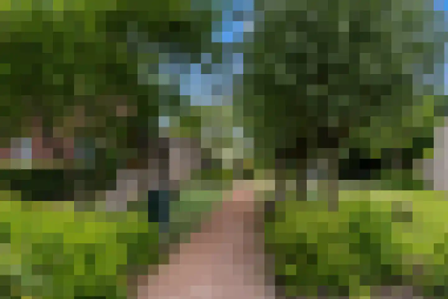 Buitenom 15 Stolwijk thumbnail 43