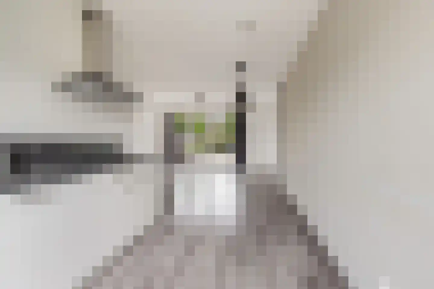 Buitenom 15 Stolwijk thumbnail 7