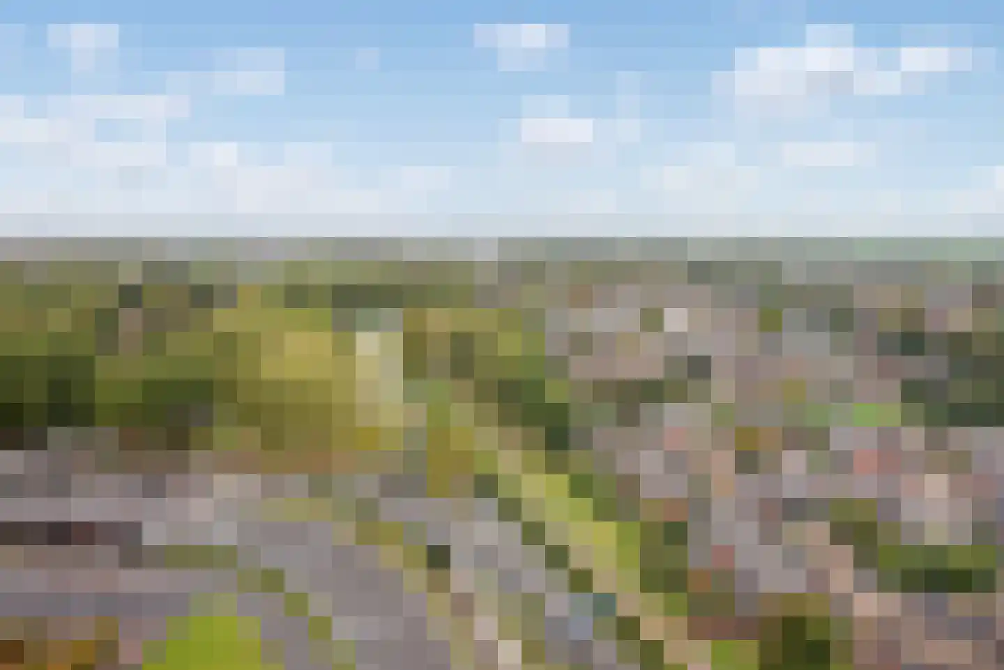 Buitenom 173 Zoetermeer thumbnail 13