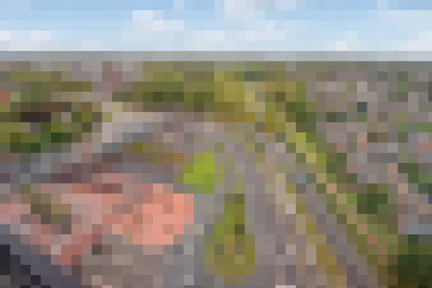 Buitenom 173 Zoetermeer thumbnail 14