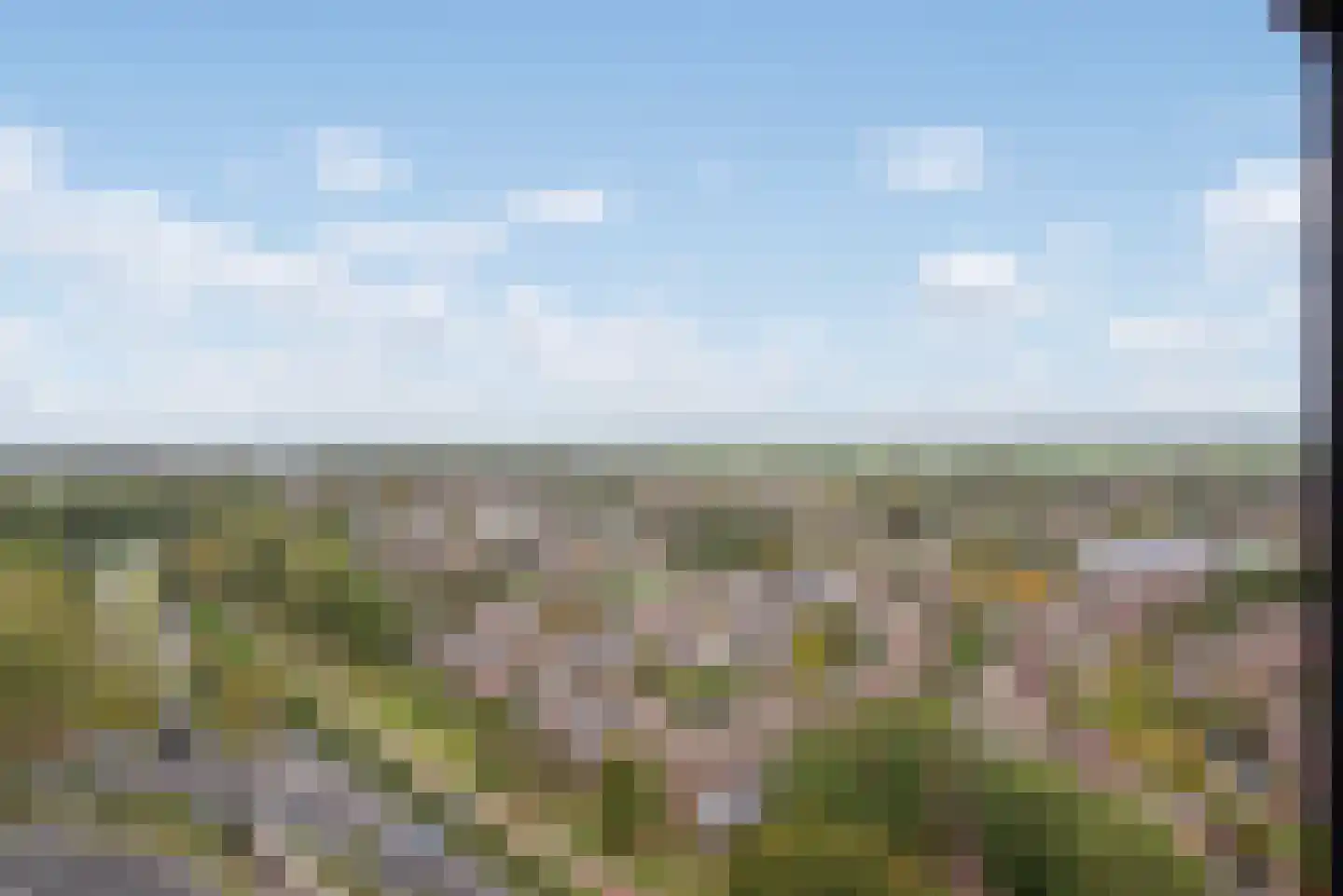 Buitenom 173 Zoetermeer thumbnail 15