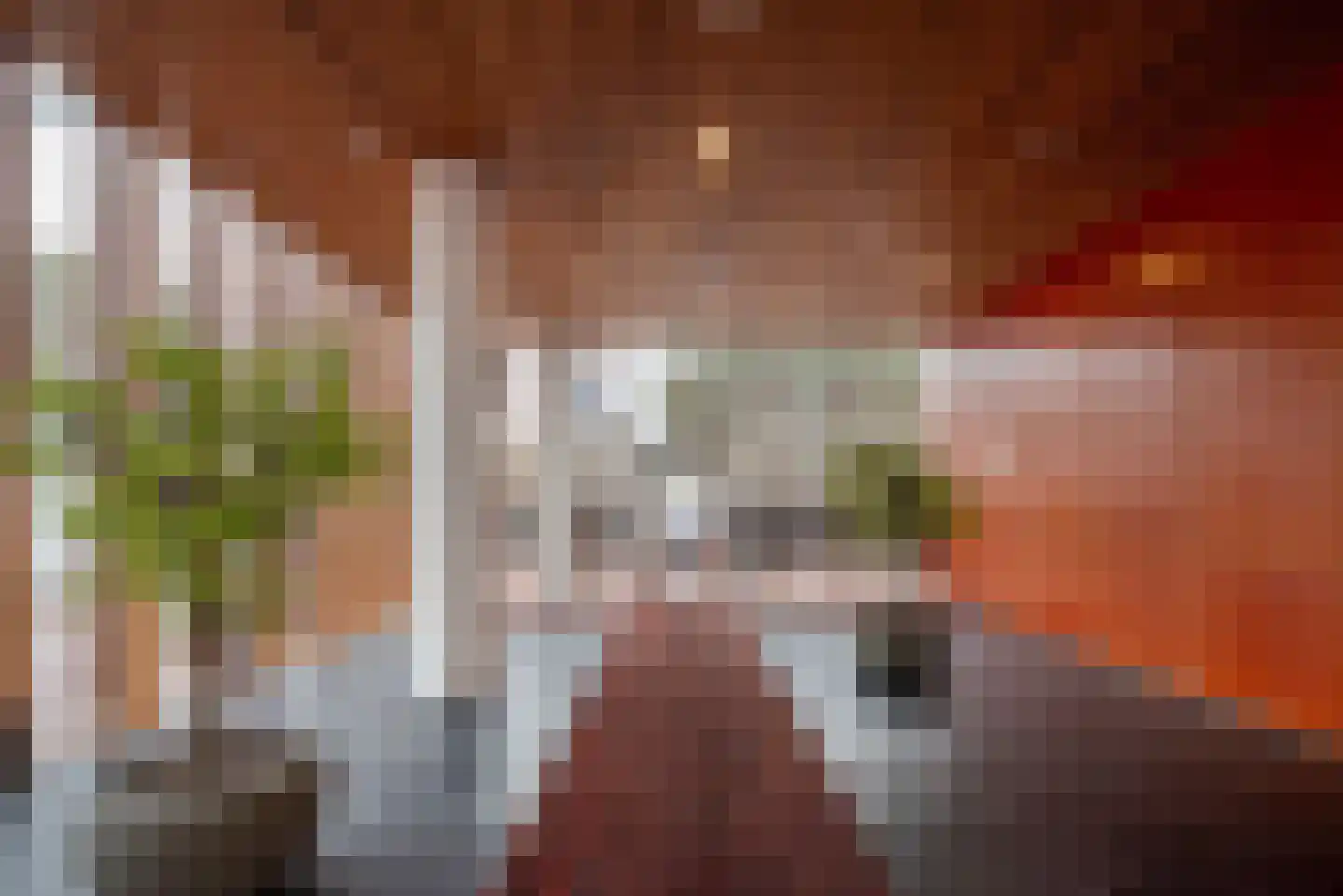 Buitenom 173 Zoetermeer thumbnail 32