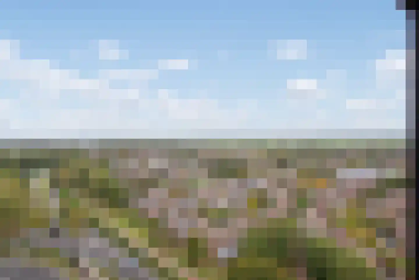 Buitenom 173 Zoetermeer thumbnail 4