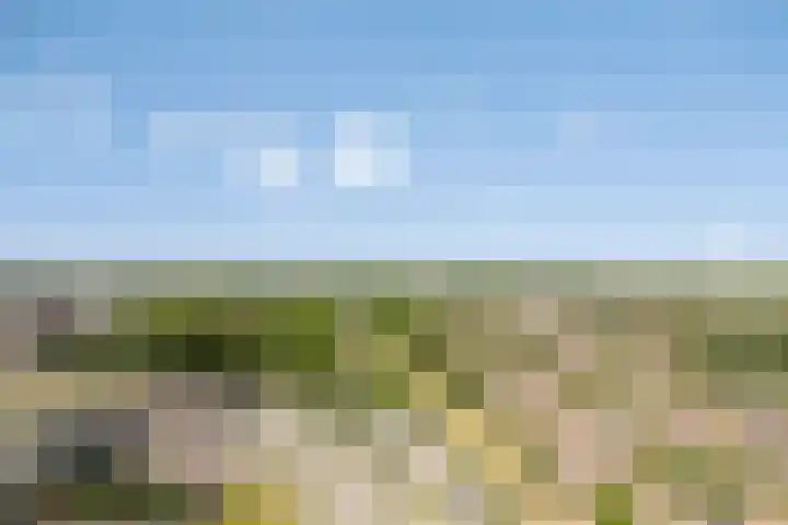 Buitenom 175 Zoetermeer thumbnail 31