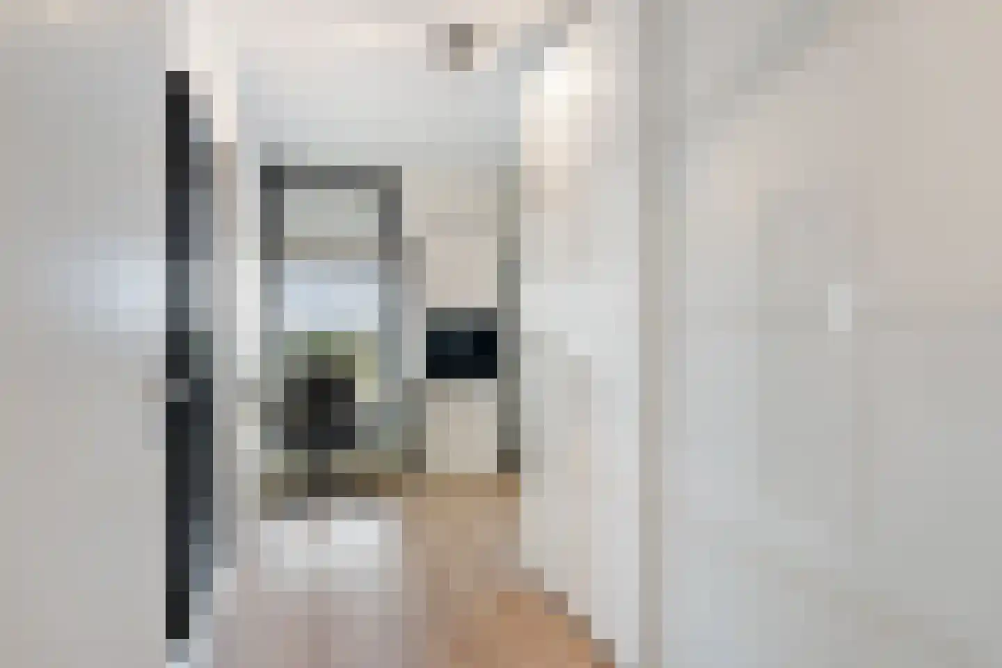 Buitenom 189 Zoetermeer thumbnail 41