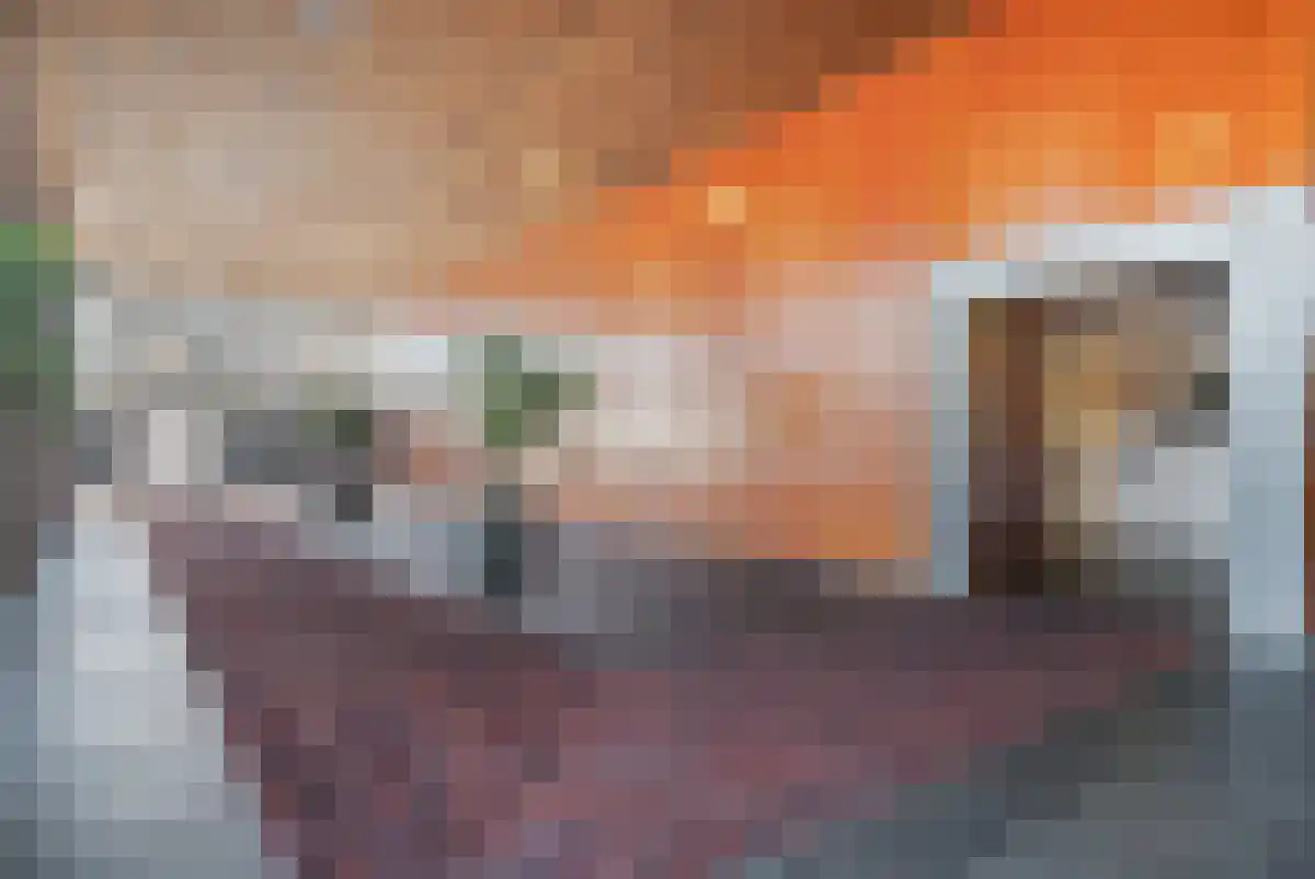 Buitenom 191 Zoetermeer thumbnail 6