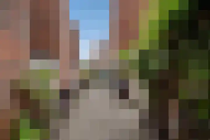 Buitenom 226 Den Haag thumbnail 16