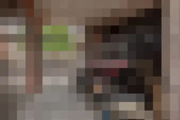 Buitenom 226 Den Haag thumbnail 17