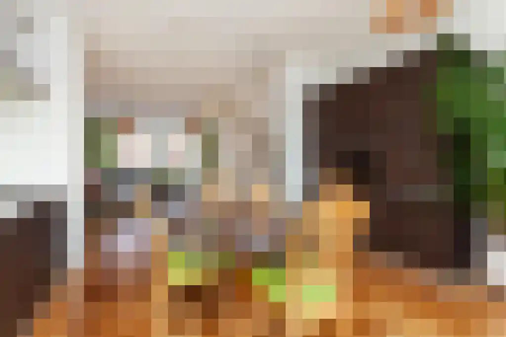 Buitenom 232 Den Haag thumbnail 16