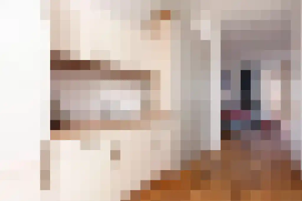 Buitenom 232 Den Haag thumbnail 5