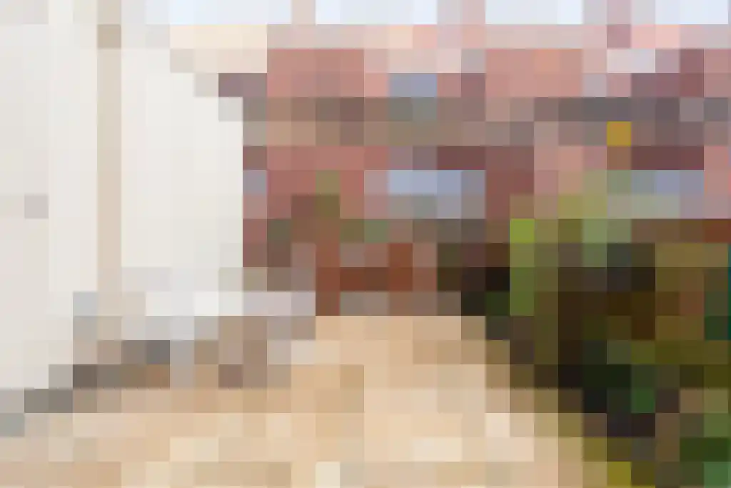 Buitenom 232 Den Haag thumbnail 9