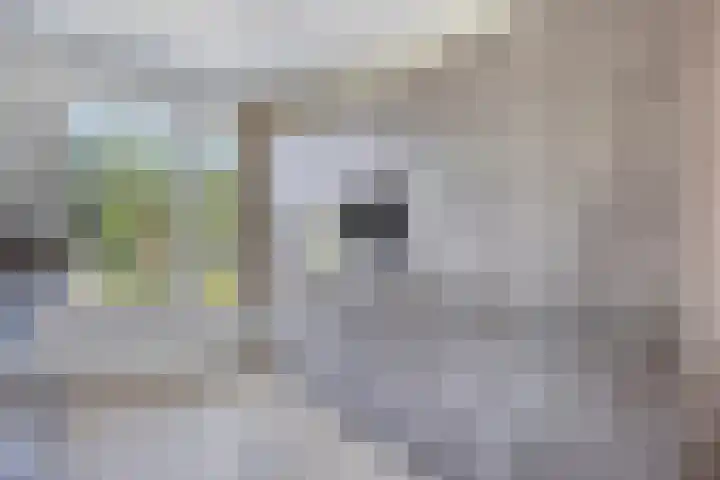 Buitenom 26 Stolwijk thumbnail 11