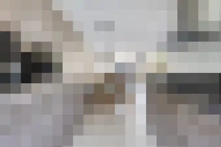 Buitenom 26 Stolwijk thumbnail 12