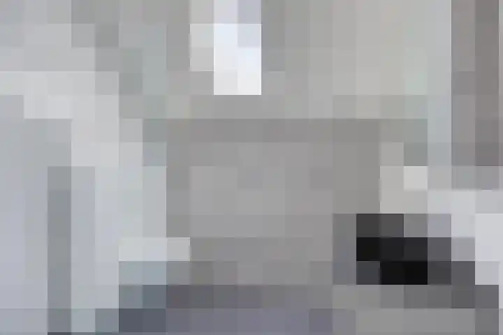 Buitenom 26 Stolwijk thumbnail 20