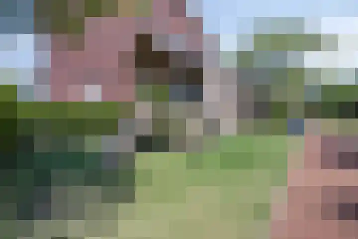 Buitenom 26 Stolwijk thumbnail 27