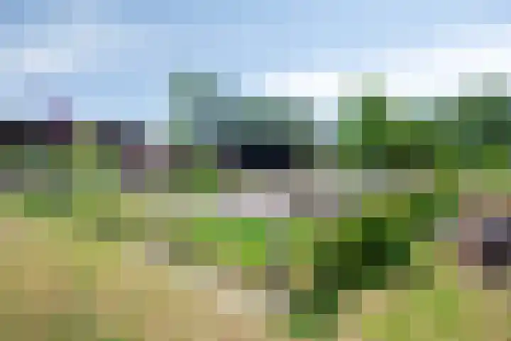 Buitenom 26 Stolwijk thumbnail 28