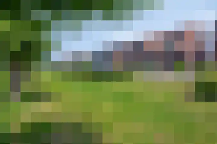 Buitenom 26 Stolwijk thumbnail 29