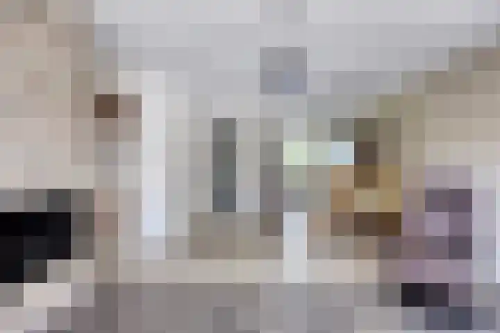Buitenom 26 Stolwijk thumbnail 8