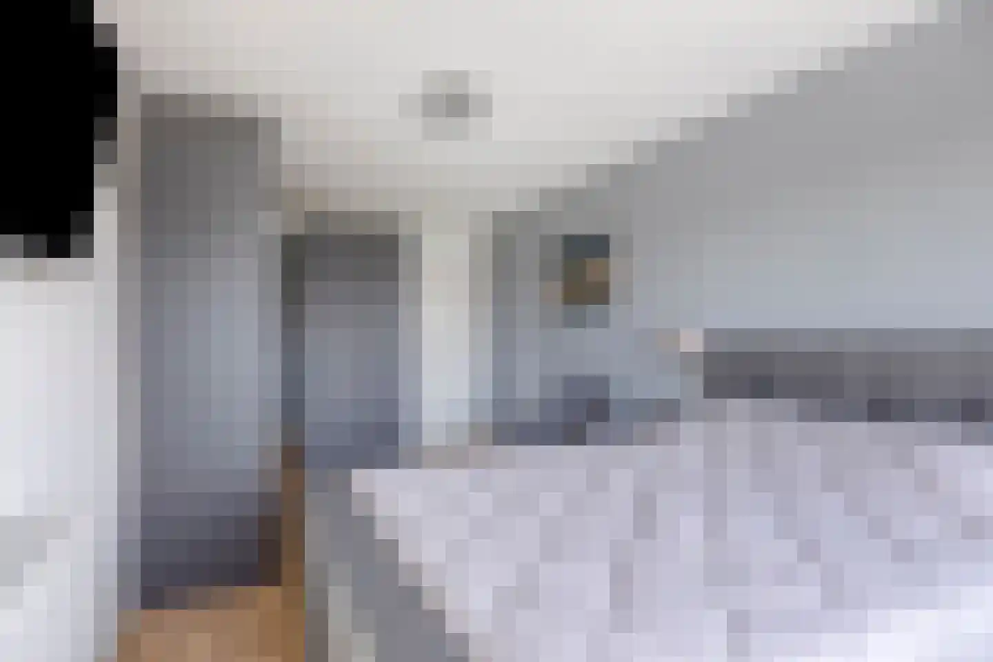 Buitenom 27 Zoetermeer thumbnail 32