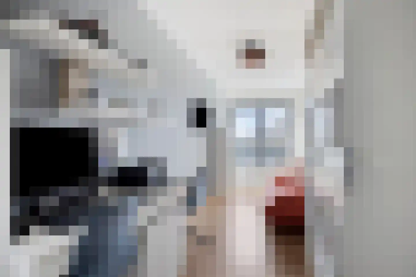 Buitenom 27 Zoetermeer thumbnail 34