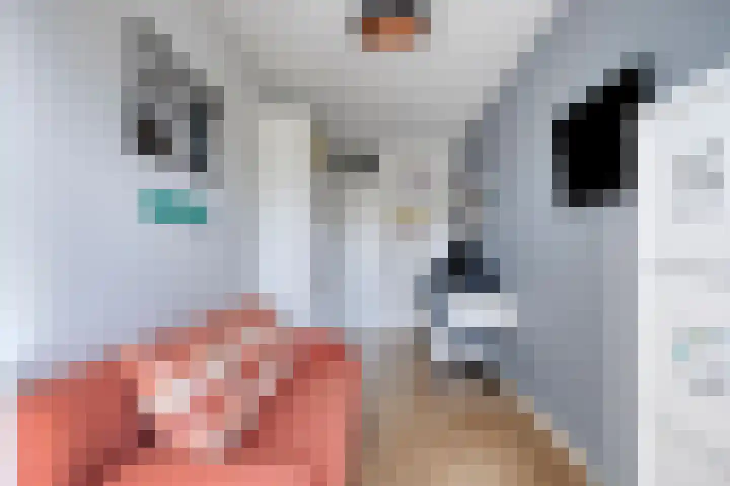 Buitenom 27 Zoetermeer thumbnail 35