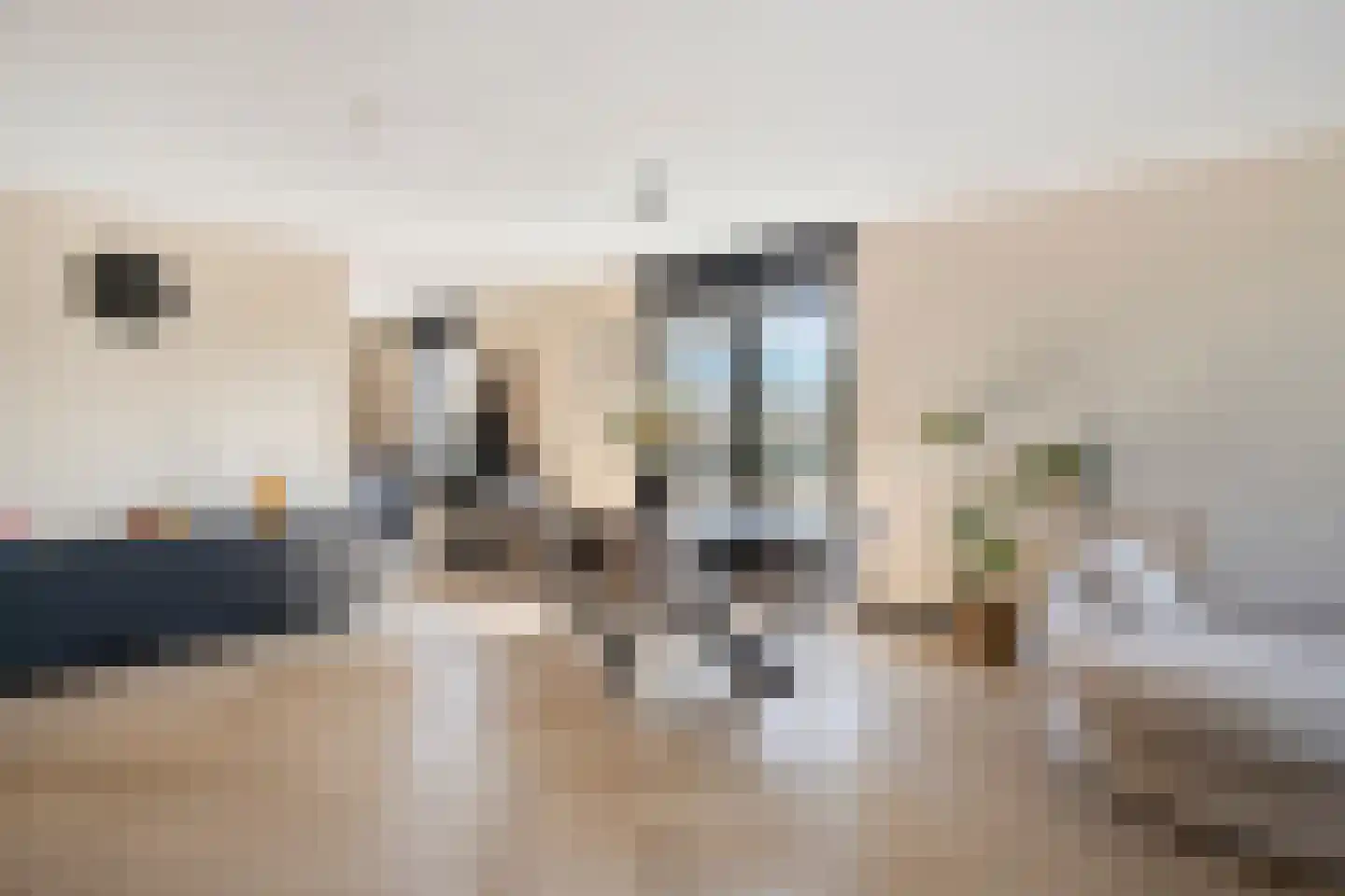 Buitenom 33 Zoetermeer thumbnail 18