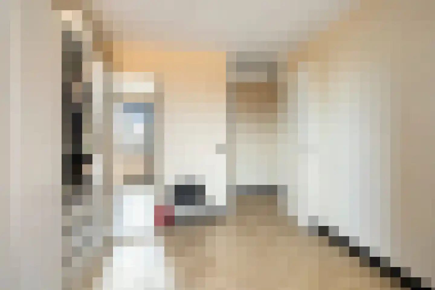 Buitenom 33 Zoetermeer thumbnail 26