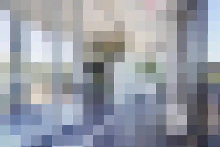 Buitenom 37 Zoetermeer thumbnail 20