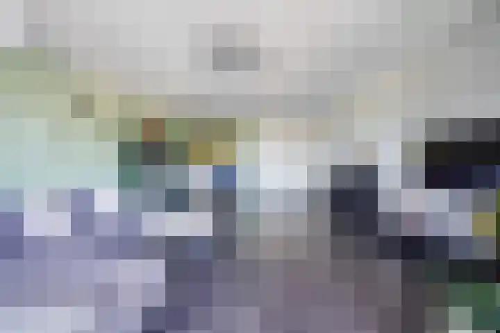 Buitenom 37 Zoetermeer thumbnail 21