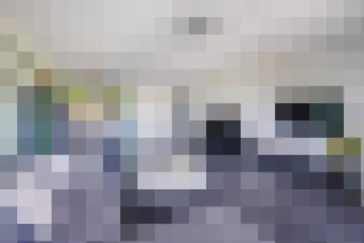 Buitenom 37 Zoetermeer thumbnail 22