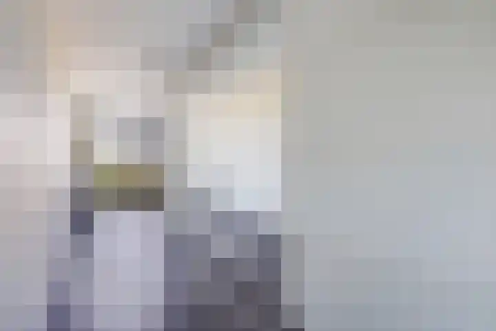 Buitenom 37 Zoetermeer thumbnail 27