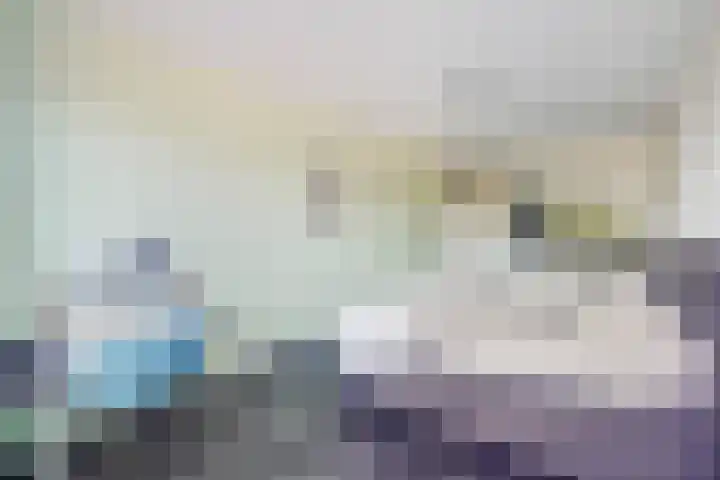 Buitenom 37 Zoetermeer thumbnail 33