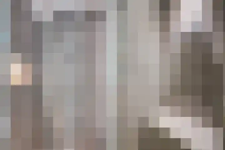 Buitenom 37 Zoetermeer thumbnail 35