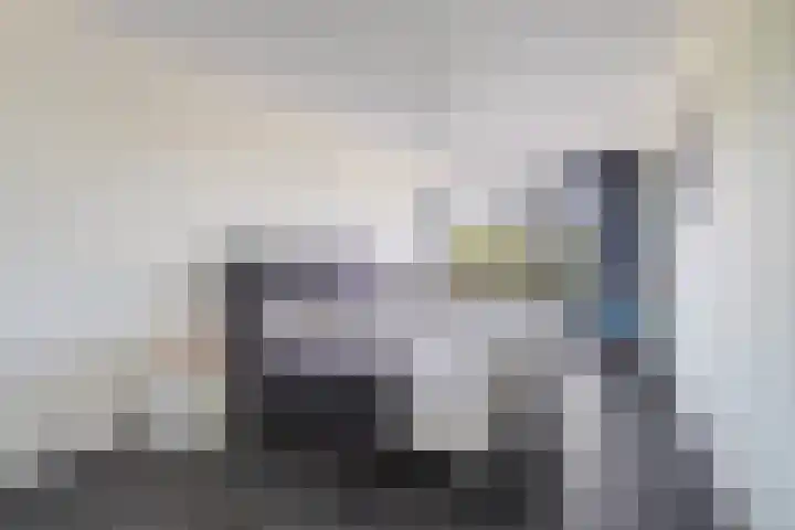 Buitenom 37 Zoetermeer thumbnail 4