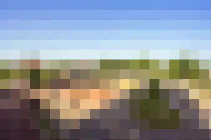 Buitenom 37 Zoetermeer thumbnail 46