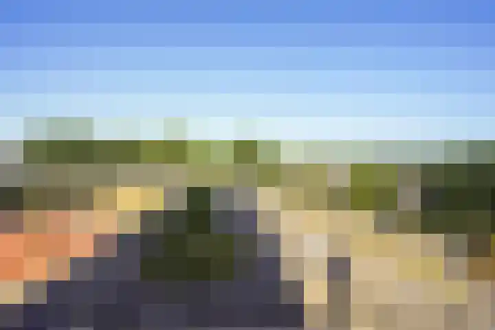 Buitenom 37 Zoetermeer thumbnail 47