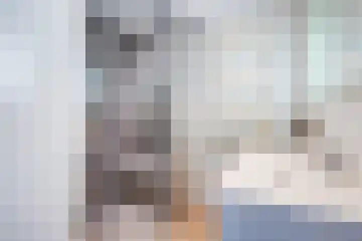 Buitenom 37 Zoetermeer thumbnail 5