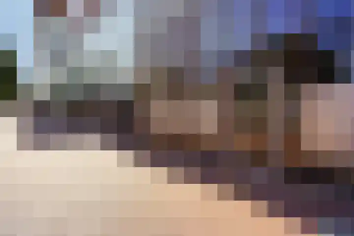 Buitenom 37 Zoetermeer thumbnail 6