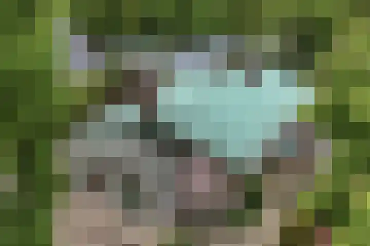 Buitenom 7 Bant thumbnail 18