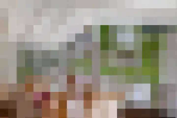 Buitenom 7 Bant thumbnail 25