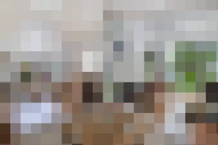 Buitenom 7 Bant thumbnail 4
