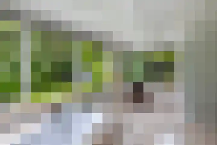 Buitenom 7 Bant thumbnail 44