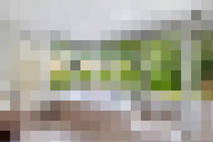 Buitenom 7 Bant thumbnail 46