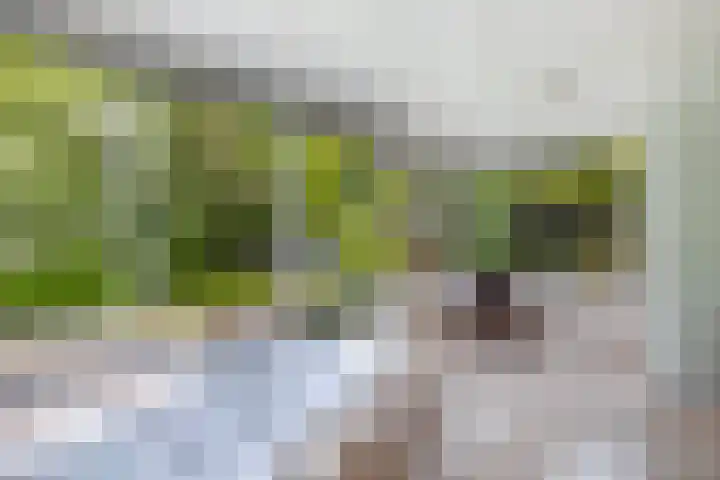 Buitenom 7 Bant thumbnail 49