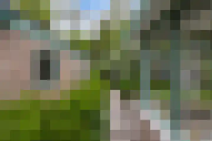 Buitenom 7 Bant thumbnail 50