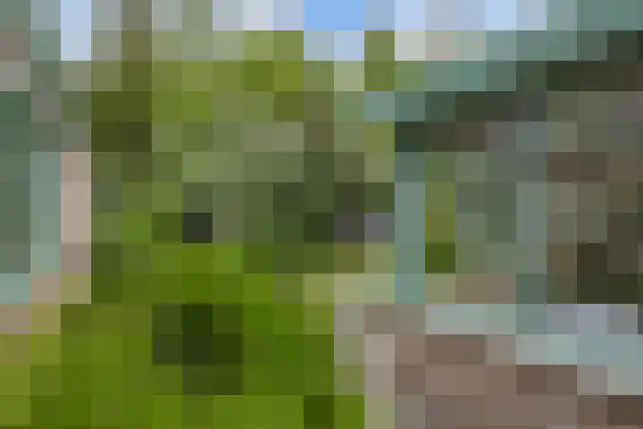 Buitenom 7 Bant thumbnail 51