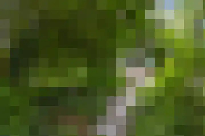 Buitenom 7 Bant thumbnail 53