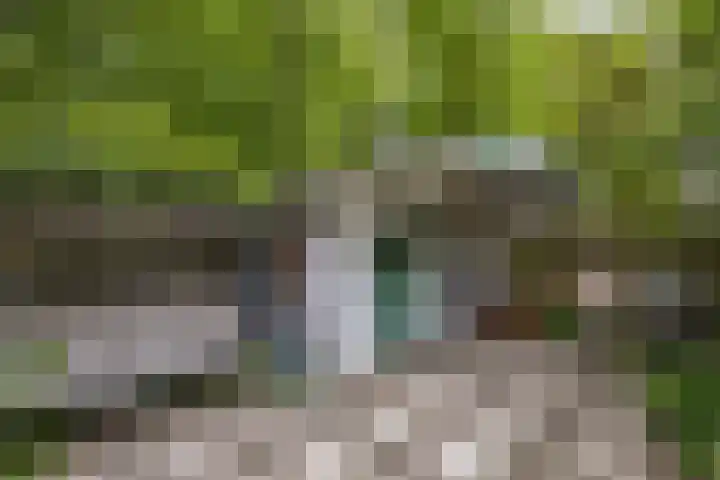 Buitenom 7 Bant thumbnail 56