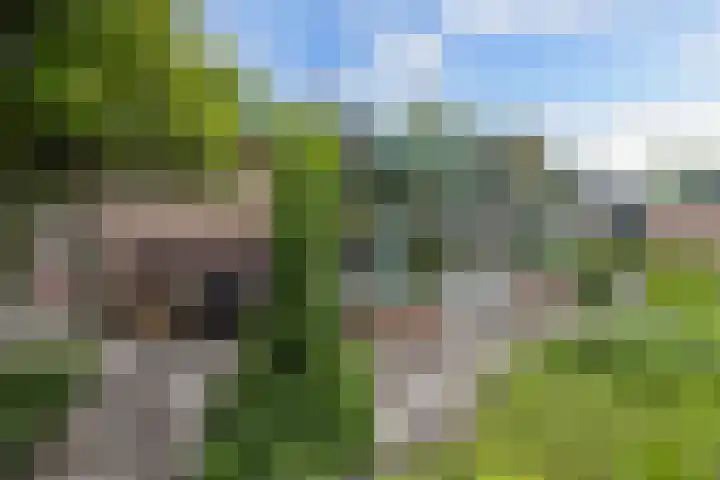 Buitenom 7 Bant thumbnail 57
